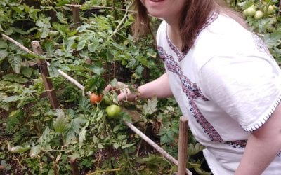 The last of the tomatoes | Kate’s blog